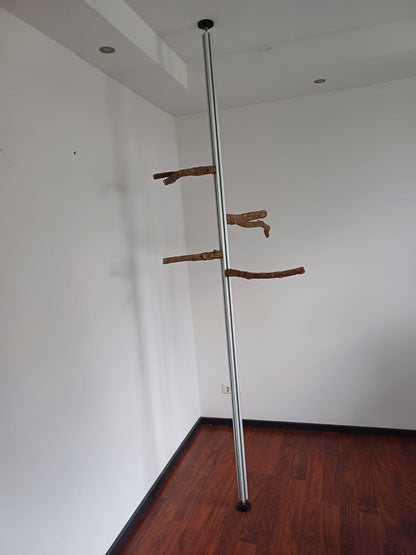 Vogel-Kletterstange Birdrail montiert zwischen Boden und Decke im Vogelzimmer