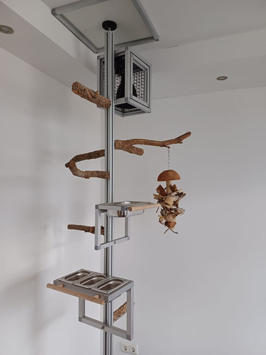 Birdrail Aluminium-Klettersystem für Vögel mit Korkästen und Metallfüßen zur Deckenbefestigung